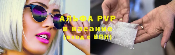 прущие крисы Алзамай